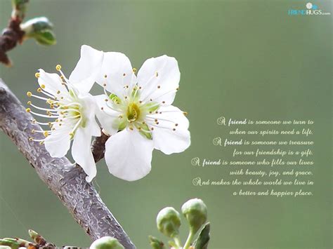 Best Friend Quotes And Poems. QuotesGram