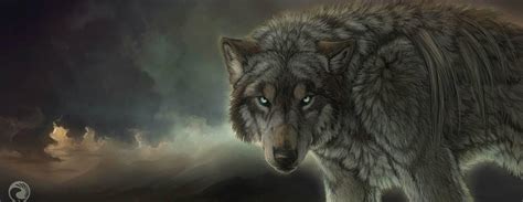 Native American Wolf Backgrounds Wallpaper Cave