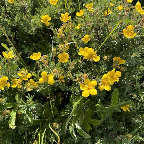 GJ Senior Recreation Center - 550 Ouray Ave GJ 81501 | Grand Junction CO