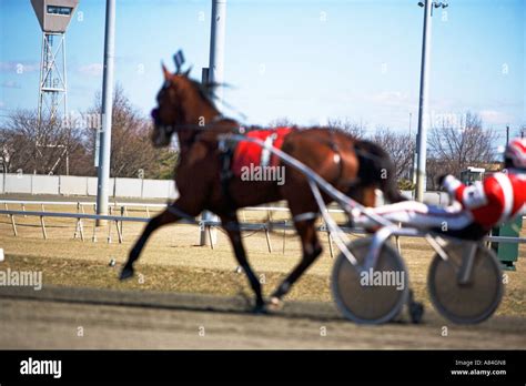 Horse Cart Racing America Hi Res Stock Photography And Images Alamy