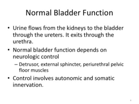 Test 2 10 31 Bowel Bladder And Sexual Function After Sci Flashcards Quizlet