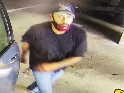 Alameda Police Looking For Vehicle Thief Alameda Ca Patch