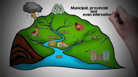 Why Are Watersheds Important Understanding The Role And Importance Of