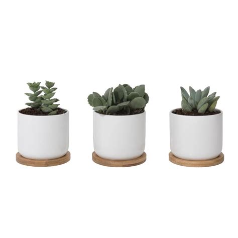 Set Of Three 4 White Ceramic Pots With Bamboo Trays Etsy Small