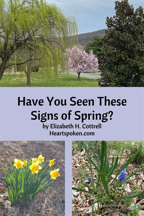 Have You Seen These Signs Of Spring Heartspoken