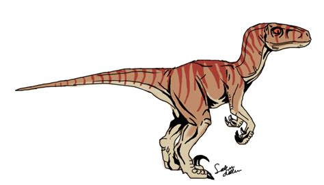 Velociraptor T By Themysticwolf On Deviantart
