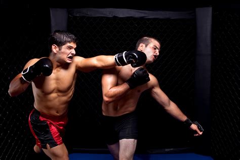 Mixed Martial Artists Fighting Punching Crypto