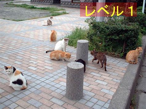 2003 september 22, uraku, akinobu, 第(だい)63話(わ) 幼(おさな)い記(き)憶(おく) [chapter 63: 生きた猫は何匹いるかゲーム…その(1) | METATRONIC METALOGUE
