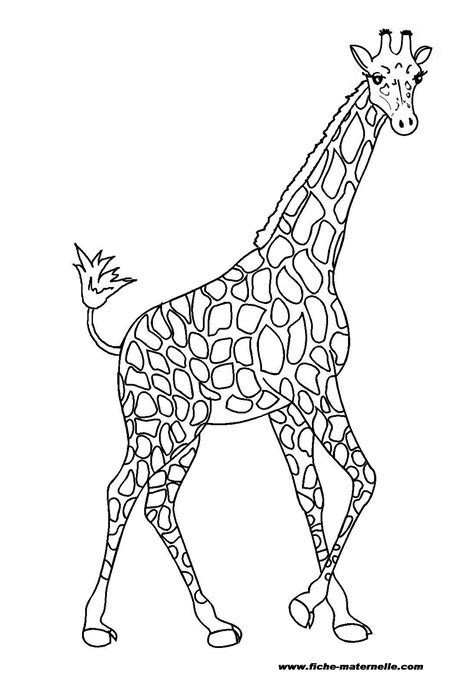 Dessins Gratuits à Colorier Coloriage Girafe à Imprimer