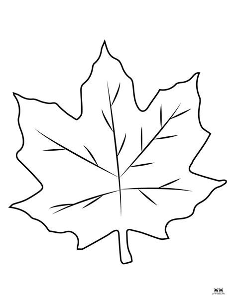 Leaf Outlines Templates And Coloring Pages 55 Free Pages Printabulls