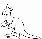 Kangaroo Coloring Printable Pages Preschool Drawing Kids Colouring Drawings Easy Animal Painting Dot Outline Templates Crafts Getdrawings Clipartmag Zoo Animals sketch template