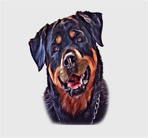 Cool Rottweiler Face Art Painting By Maystro Fine Art America