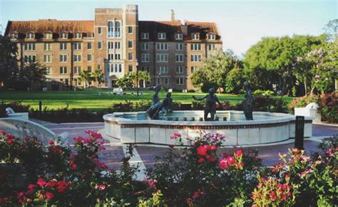 The Ultimate Ranking Of Freshman Dorms At Florida State University Society19 Florida State