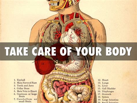 Take Care Of Your Body By Roger Mendoza