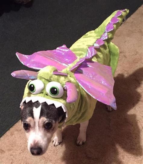 Martha Stewart Pets Dog Costume Green Dragon Halloween Size Medium
