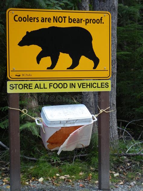 Bear Warning Editorial Stock Photo Image Of Sign Provincial 63161273