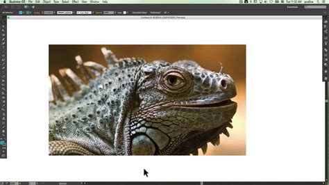 Vectorizing A Picture In Illustrator Quick Photoshop Tutorial