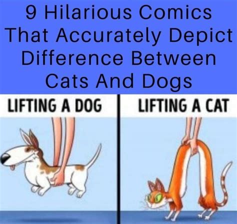 9 Hilarious Comics That Accurately Depict Difference Between Cats And