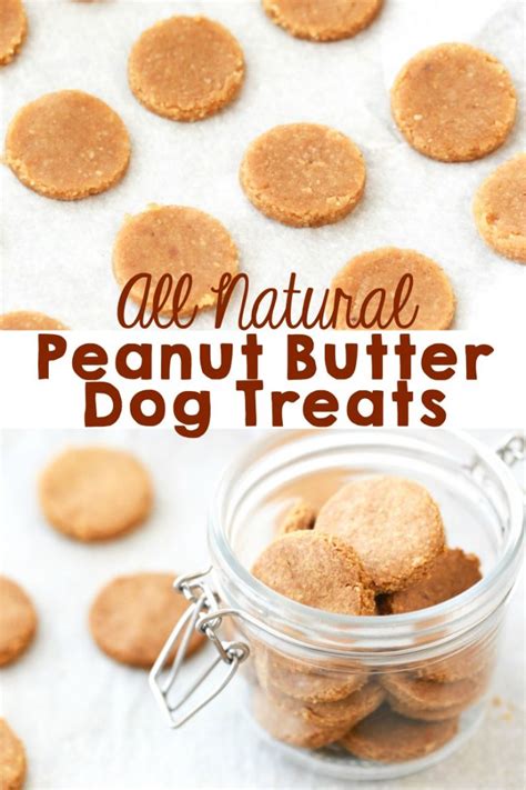Peanut Butter Dog Treats Homemade Dog Treats Simply Being Mommy