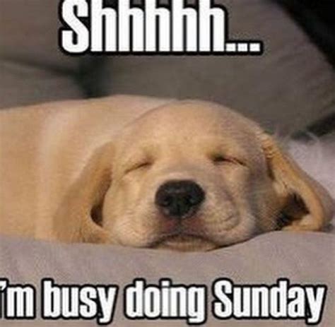 27 Funny Sunday Memes That Are Perfect For Lazy Sundays