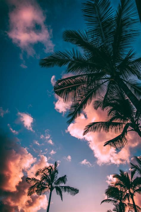 Discover more posts about summer aesthetic. 20+ Aesthetic Summer Wallpaper Laptop - Basty Wallpaper