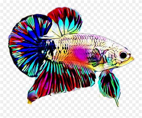 Betta fish gradient blue color unique logo. #betta - Betta Fish Logo Vector Clipart (#5588323 ...