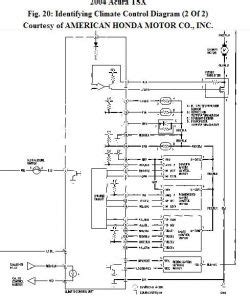 In this article, we show you the locations of the fuse boxes on the current camaros and earlier models. Acura Rsx Fuse Diagram - Wiring Diagram Networks