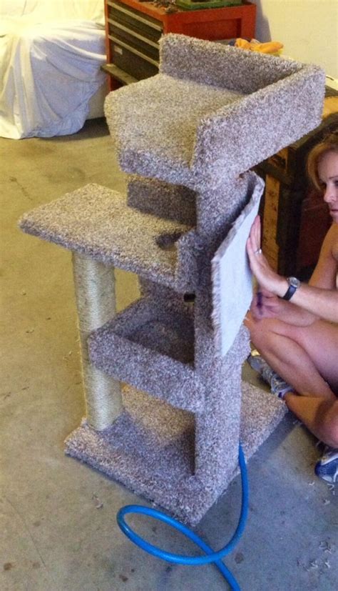 Diy Kitty Scratching Post And Bed Diy Cat Scratching Post Diy Cat