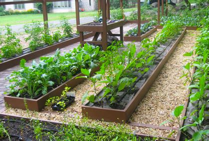 When it comes to vegetable garden layout, there are many different options to choose from. Top Vegetable Garden Ideas for Beginners 2018 Pictures