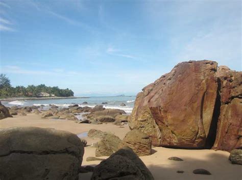 Photos, address, and phone number, opening hours, photos, and user reviews on yandex.maps. Treehouse, Permai Rainforest Resort, Damai (outside ...