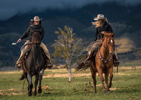 Yellowstone Ranch Horses Llc