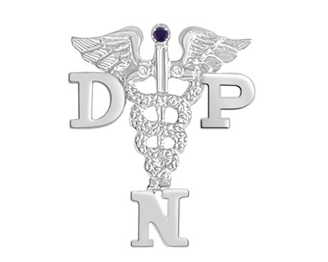 Dnp Nursing Pin For Doctor Of Nursing Etsy