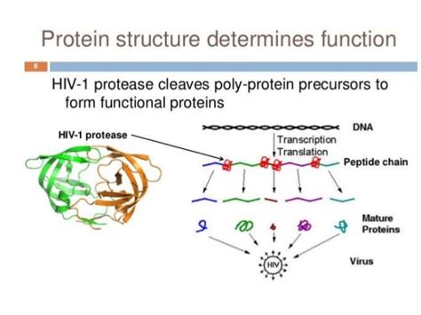 Soluble in meoh, water, and dmso; Protease inhibitors