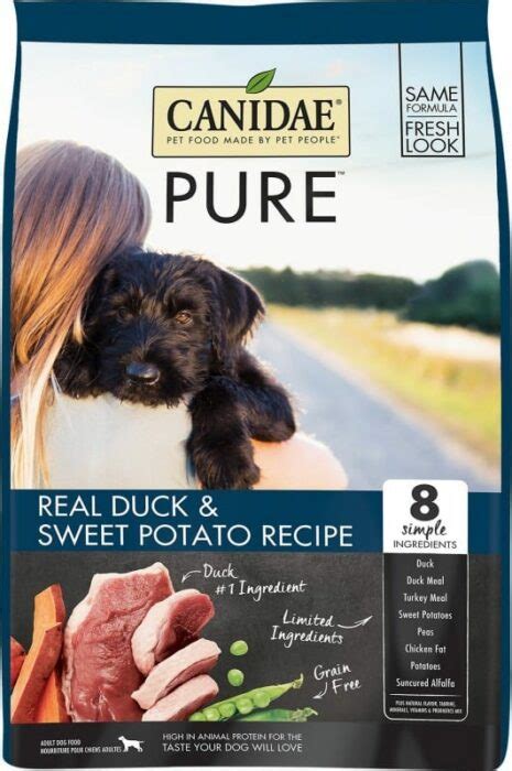 Here are some easy recipes that will help you nurse. 13 Best Dog Foods for Australian Shepherds  2020 Reviews 