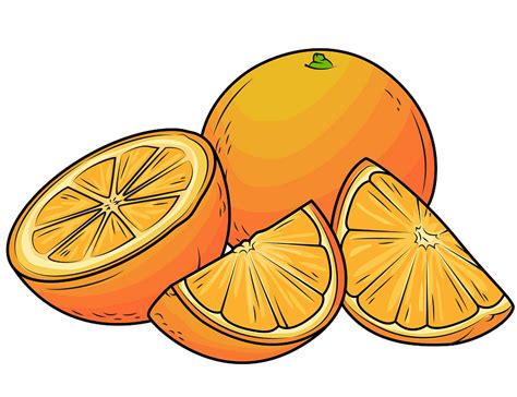 Naranja Animada Png Dibujo De Una Naranja A Color Transparent Png Images