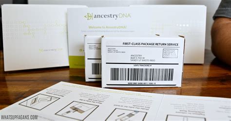 Ancestry Dna Reviews How To Use Them And What You Can Expect