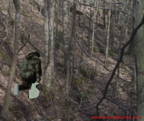 Frontiers Of Zoology More Kentucky Bigfoot From The Crypto Crew