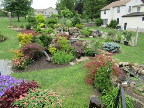 Miniature flowering trees for pots. Deer Resistant Dwarf Trees For Landscaping — Randolph ...