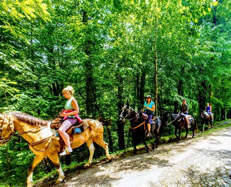 Horseback Riding Bryson City Carolina Bound Adventures