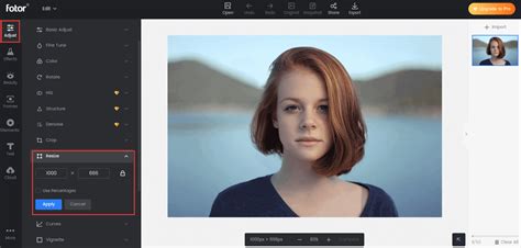 How To Make A Picture Bigger Without Losing Quality Guide Fotor