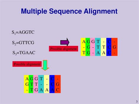 PPT - Multiple Sequence Alignments PowerPoint Presentation, free ...