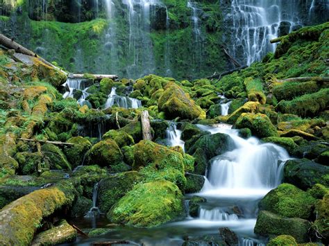 Waterfalls Wallpapers Download Free Proxy Falls Cascade Range