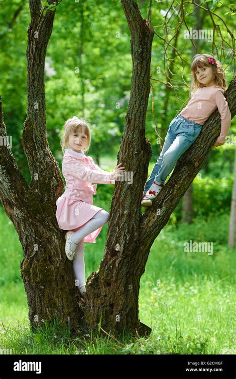 Little Girls Climbing To The Tree Stock Photo Alamy
