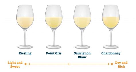 Discover The Different Types Of White Wine Beer And Wine Guide