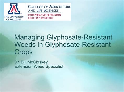 Managing Glyphosate Resistant Weeds In Glyphosate Resistant Crops Dr