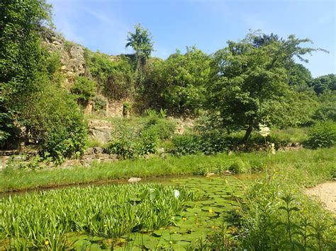 Wie wäre es mit einer kulturellen veranstaltung im grünen? Naturschutzgebiet in der Stadt - der Botanische Garten in ...