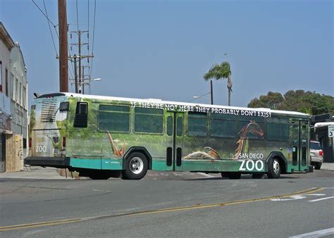 Zoo Bus San Diego Transit Bus With A Wrap Ad For The Zoo Flickr