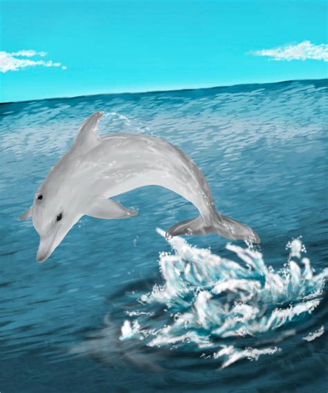 Dolphin Leap By Amadare90 On Deviantart