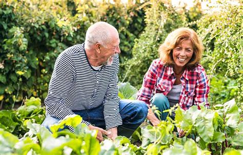 13 Fun Hobbies For Couples Who Are Over 50 - Mighty Goodness