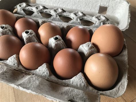 Dozen Organic Eggs Triple Green Jade Farm Willsboro Ny